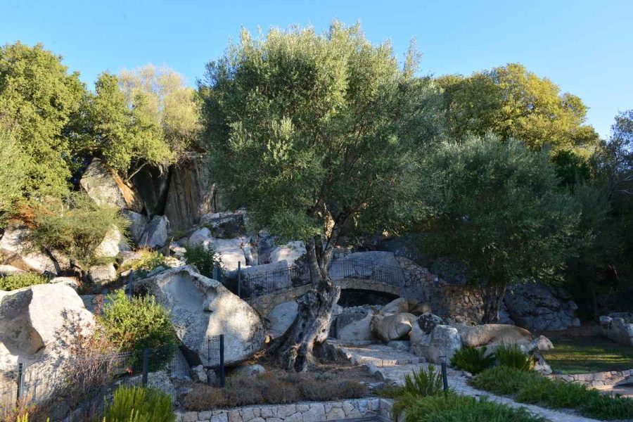 1er-de-la-residence-coté-jardin-1