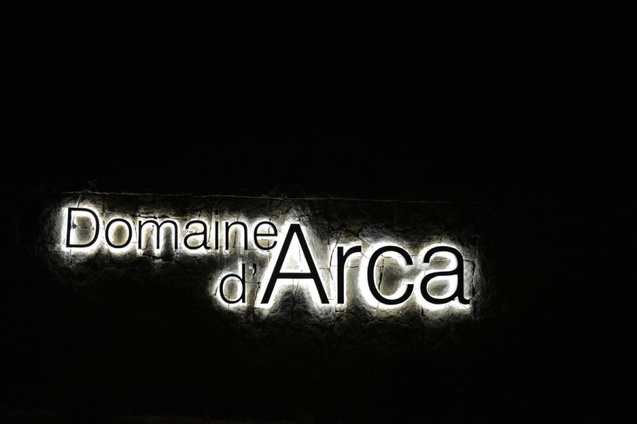 DSC_3108