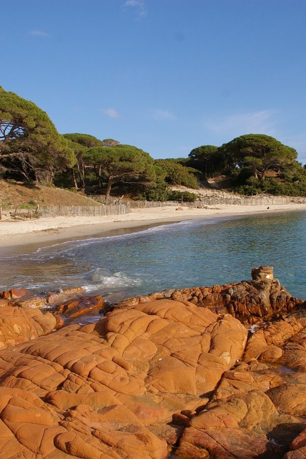 corsican-4590651_1920